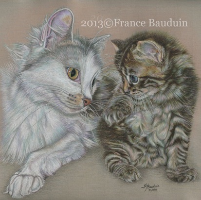 Laila & Griffin - 30days
Daler-Rowney Pastel Paper
12" x 12.5"
Spooky's grand-daughter & kitten
